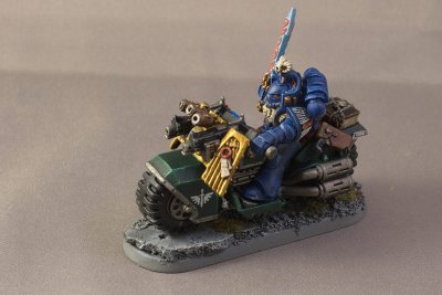 Bike Librarian - Left